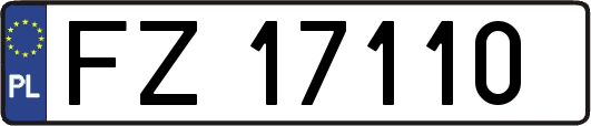 FZ17110