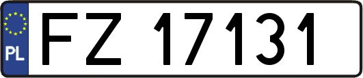 FZ17131