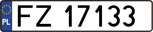 FZ17133