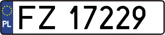 FZ17229