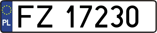 FZ17230