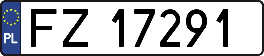FZ17291
