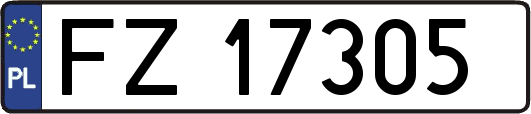 FZ17305