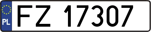 FZ17307