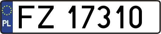 FZ17310