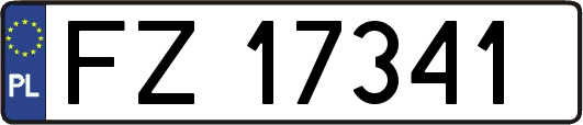 FZ17341