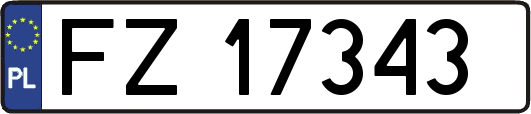 FZ17343