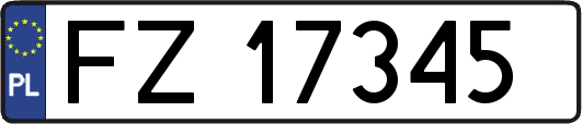 FZ17345