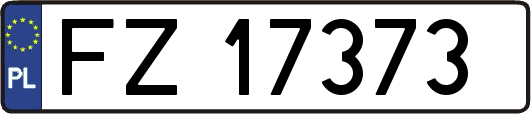FZ17373