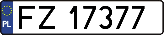FZ17377