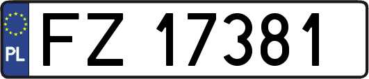 FZ17381