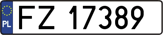 FZ17389