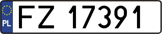 FZ17391