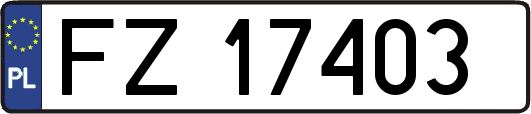 FZ17403