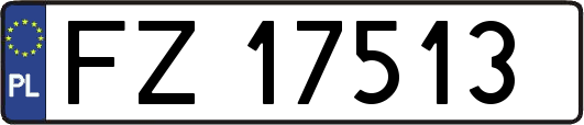 FZ17513