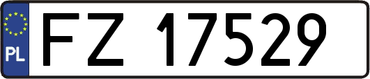 FZ17529