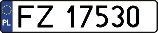 FZ17530
