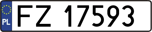 FZ17593