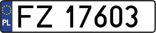FZ17603
