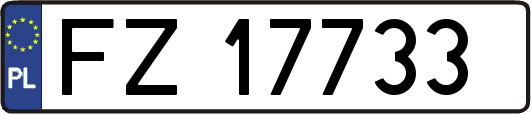 FZ17733