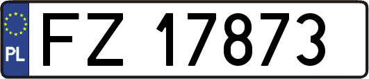 FZ17873