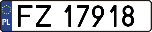 FZ17918