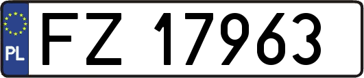 FZ17963