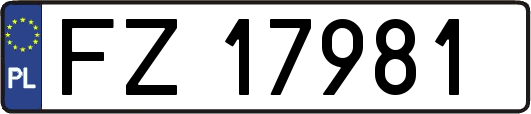 FZ17981