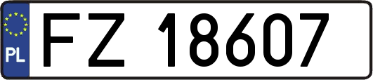 FZ18607