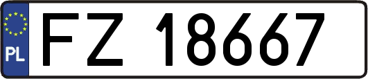 FZ18667