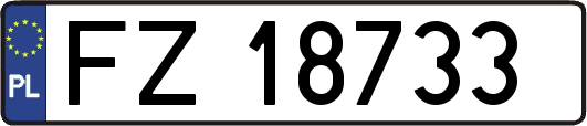 FZ18733
