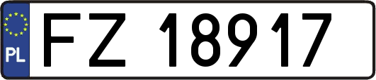 FZ18917
