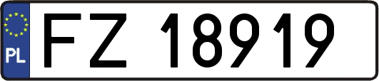 FZ18919