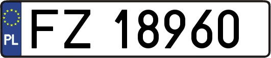 FZ18960