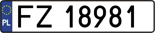FZ18981