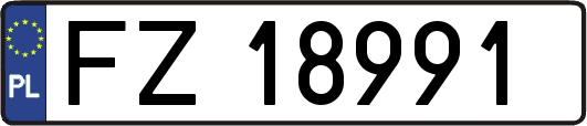 FZ18991