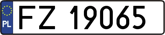 FZ19065