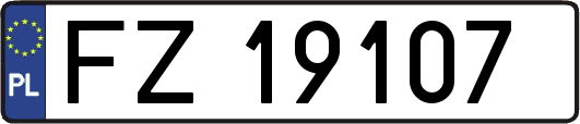FZ19107