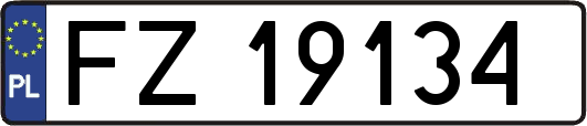 FZ19134