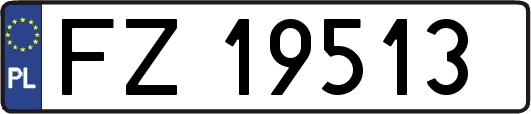 FZ19513