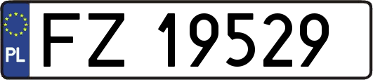 FZ19529