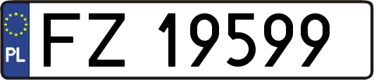 FZ19599