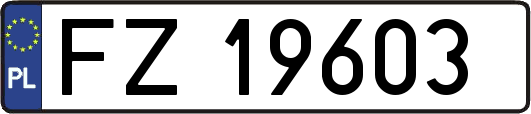 FZ19603