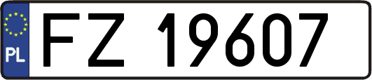 FZ19607