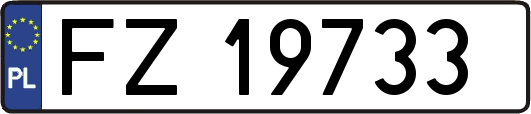 FZ19733