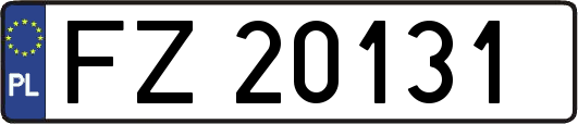 FZ20131