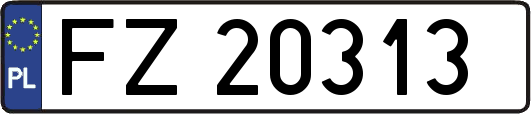 FZ20313