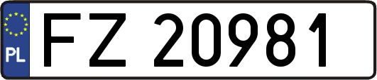 FZ20981