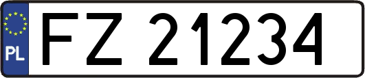 FZ21234