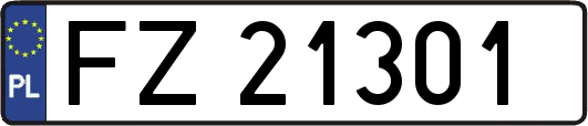 FZ21301